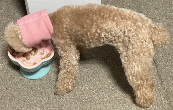 食事中