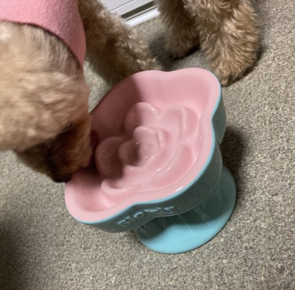 きれいに食べ終わりました