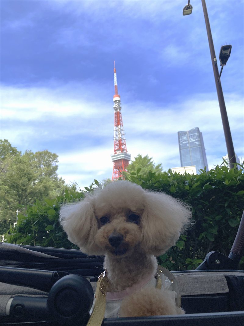 初 カーに乗るLALAさん